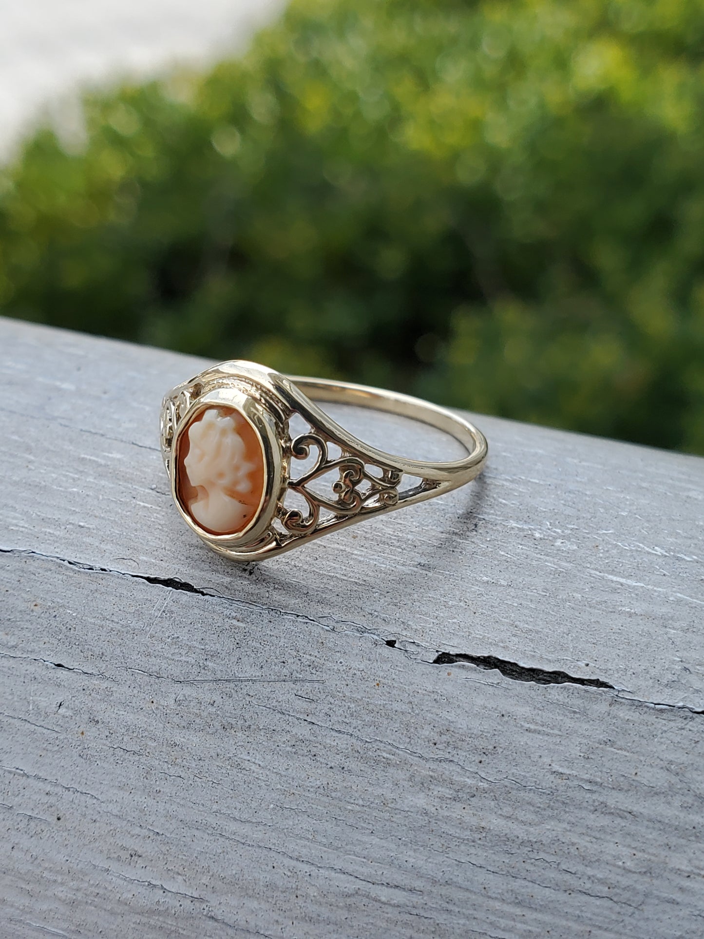 10k Yellow Gold Ladies Vintage 1950-1960 Cameo Oval Ring