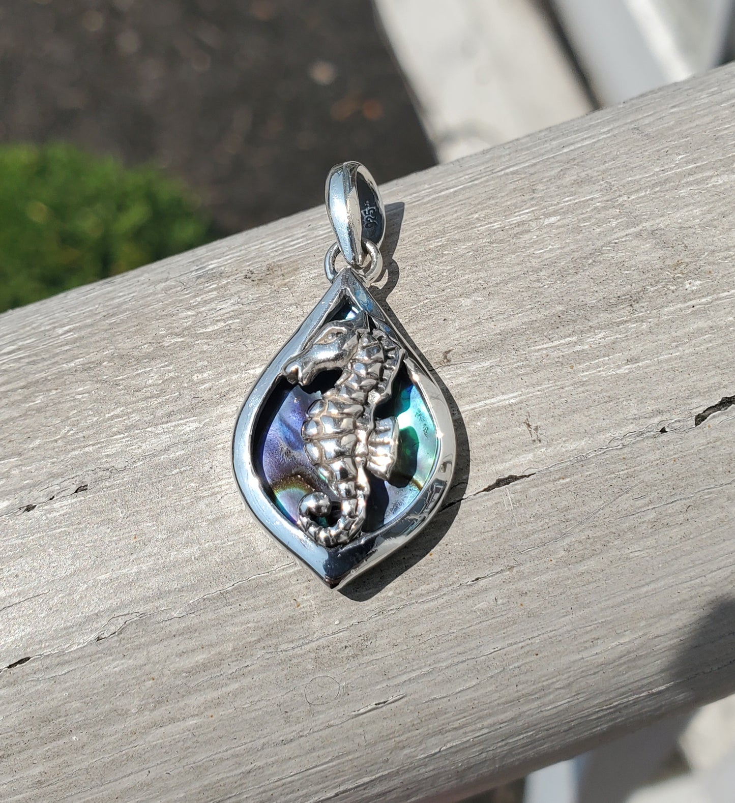 925 Sterling Silver Abalone Horseshoe Pendant Charm