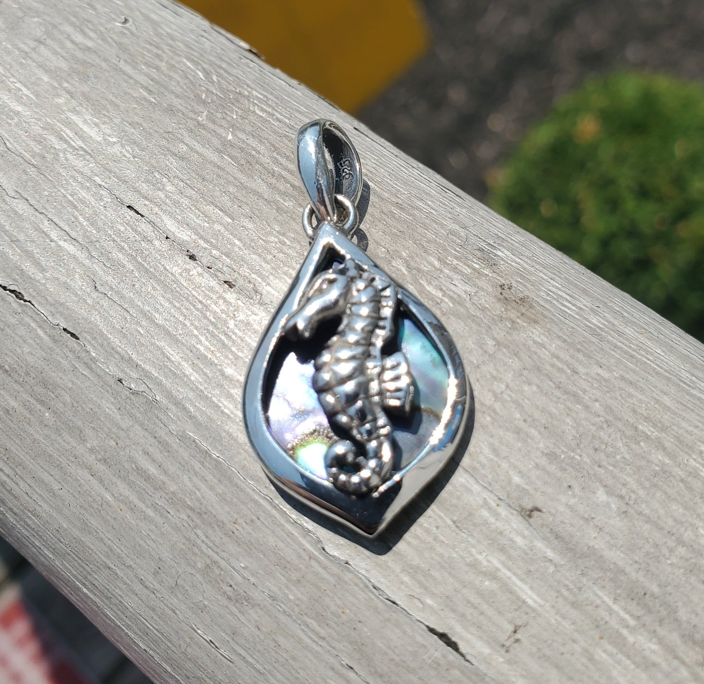 925 Sterling Silver Abalone Horseshoe Pendant Charm