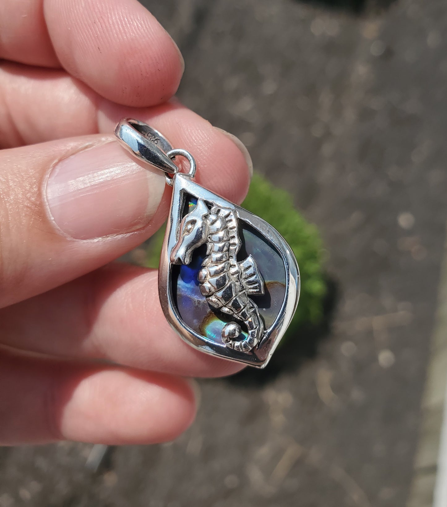 925 Sterling Silver Abalone Horseshoe Pendant Charm