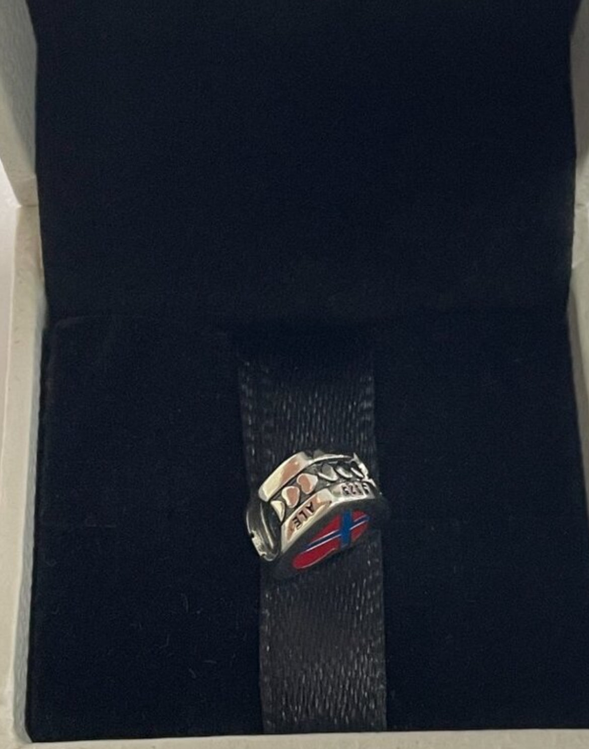 Pandora Cities of Norway Country Heart Flag Exclusive Travel Charm