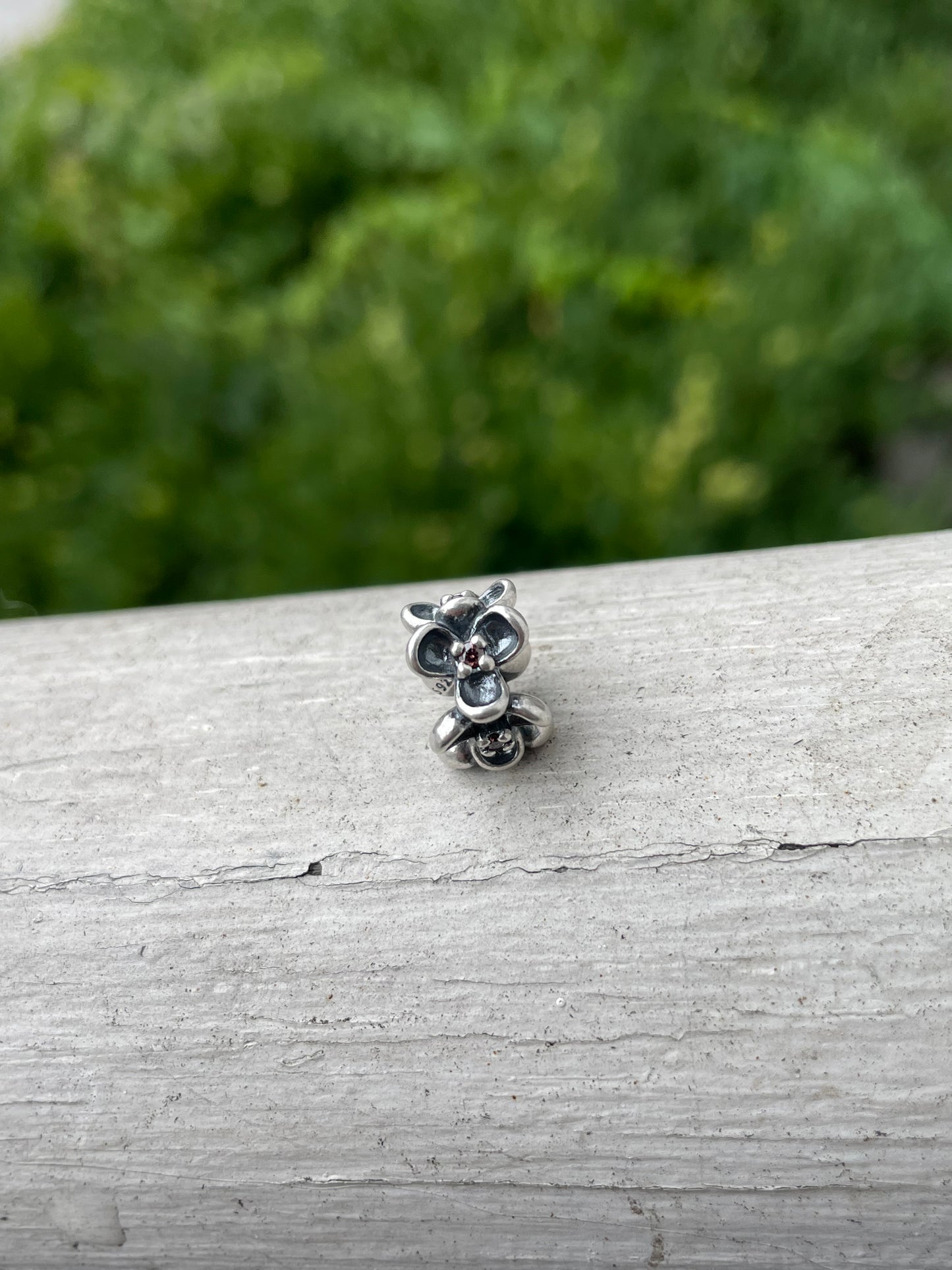 Pandora 790861TCZ Wanda’s Garden Spacer Charm
