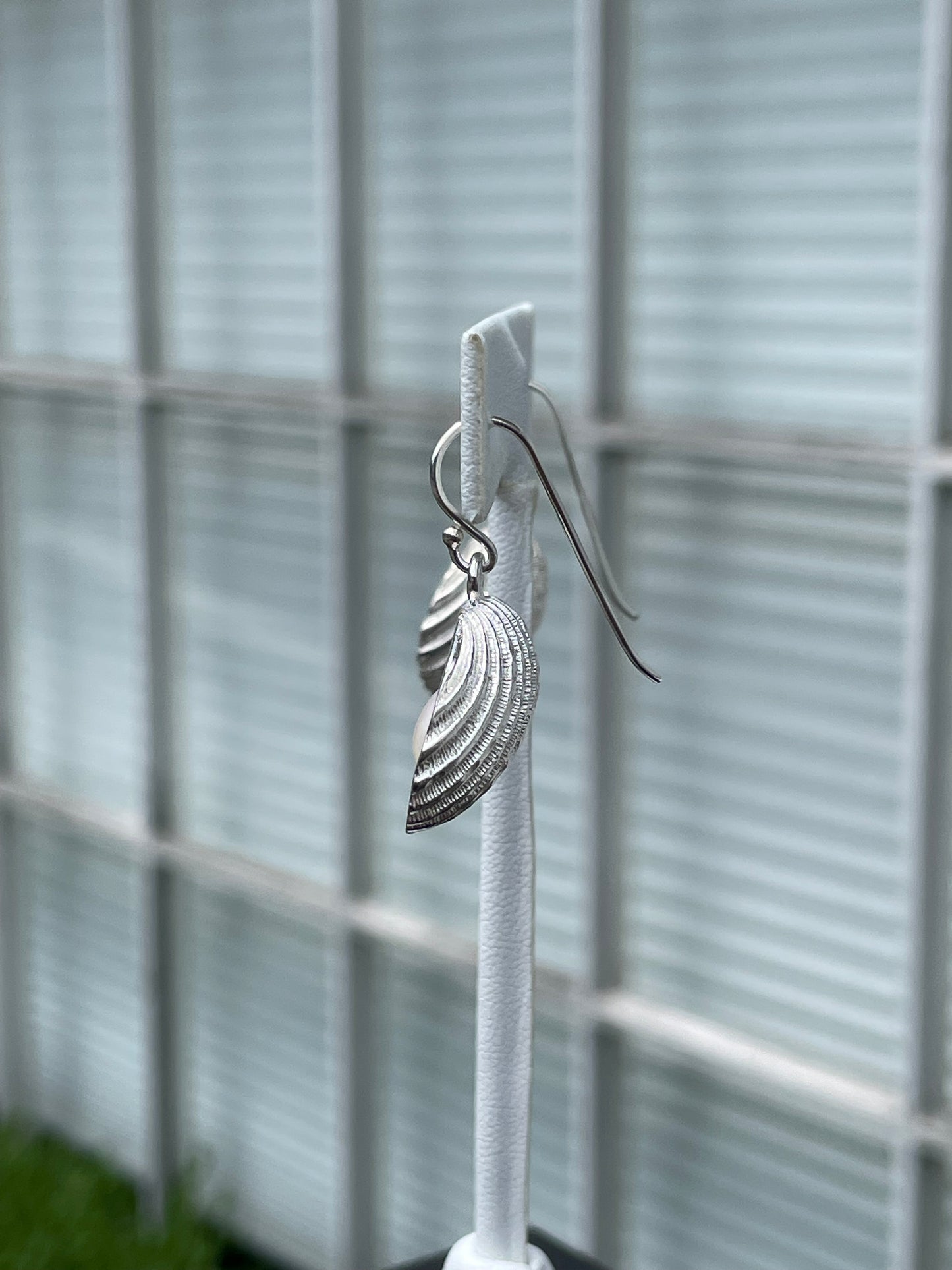 925 Sterling Silver Freshwater Pearl Open Clam Shell Earrings
