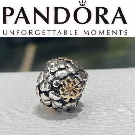 Retired Pandora Two Tone Lucky 4 Leaf Clover Charm 790387