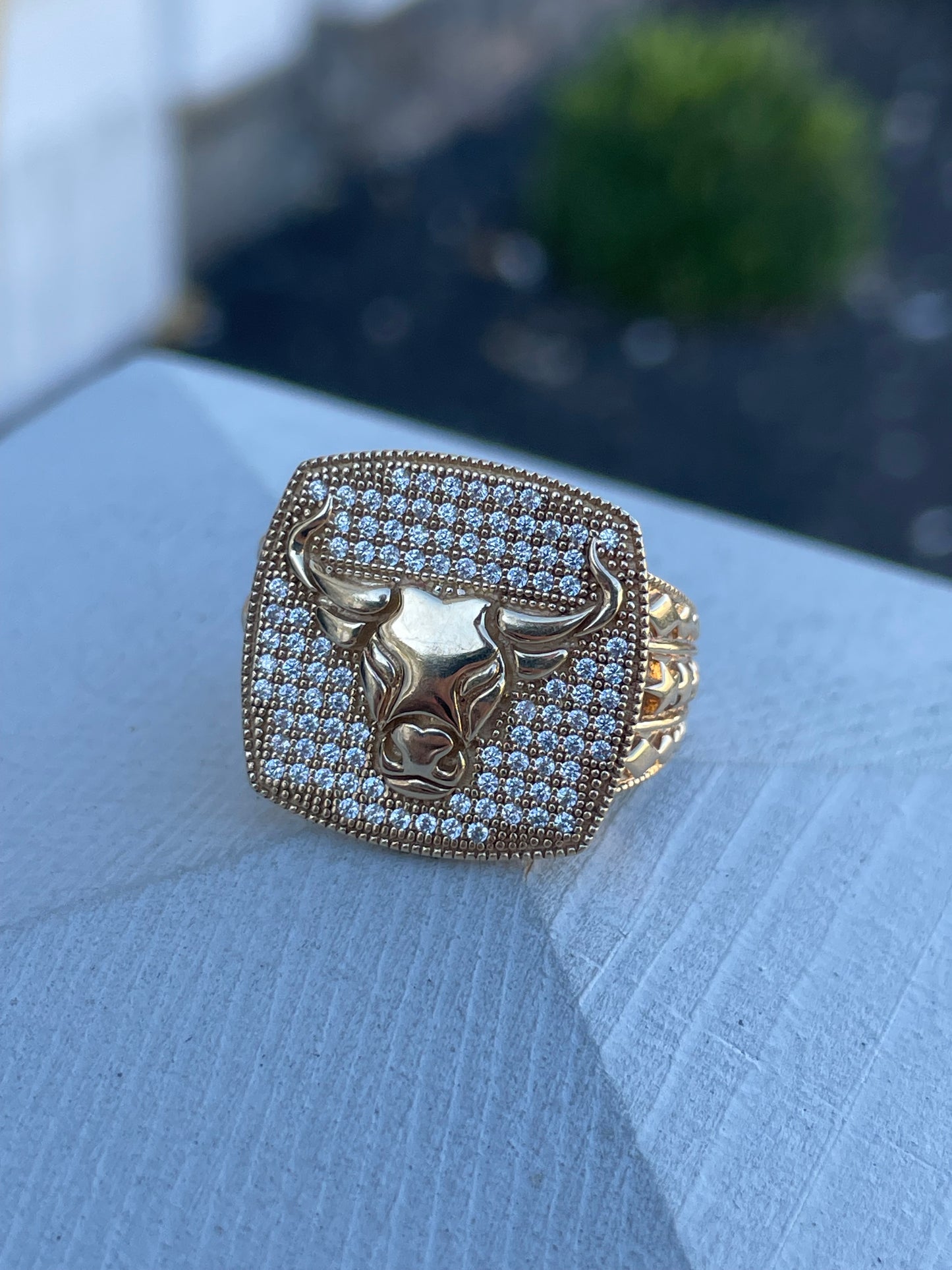 10k Gold Men’s Brahma Bull Sparkling Zirconia Signet Ring Size 9