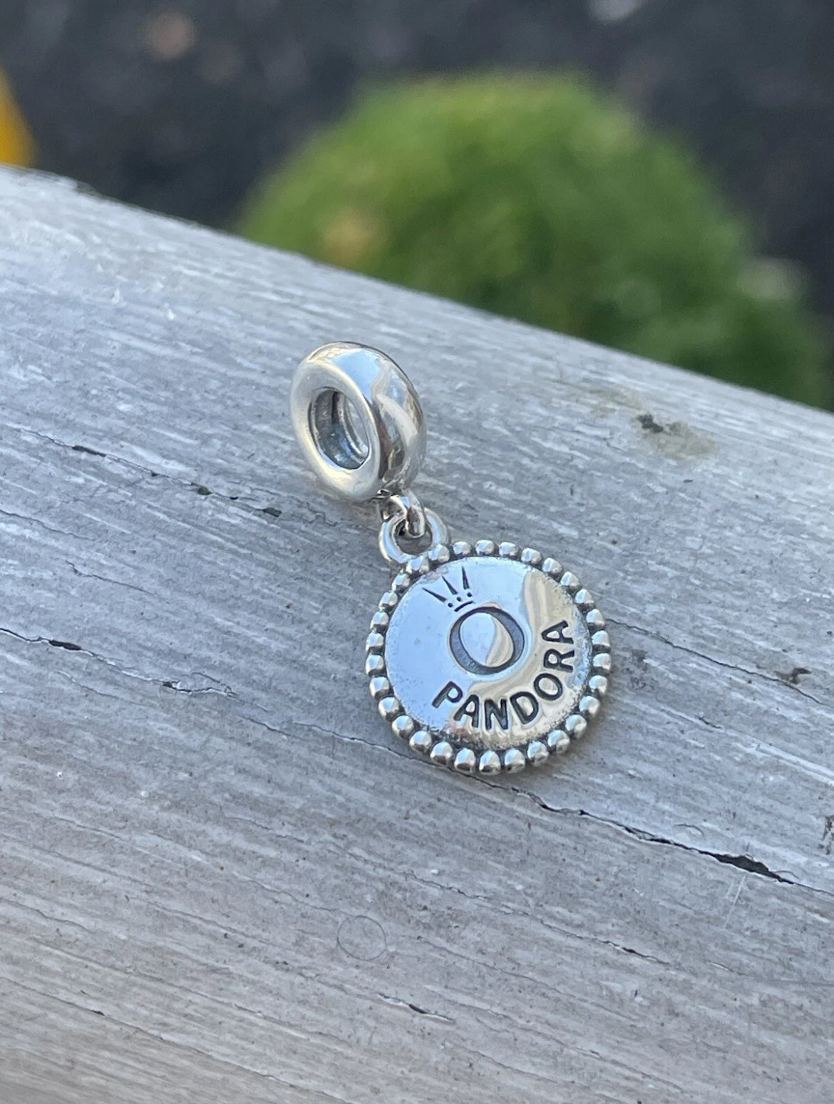 Pandora New Bern North Carolina State Exclusive Travel Destination Dangle Charm