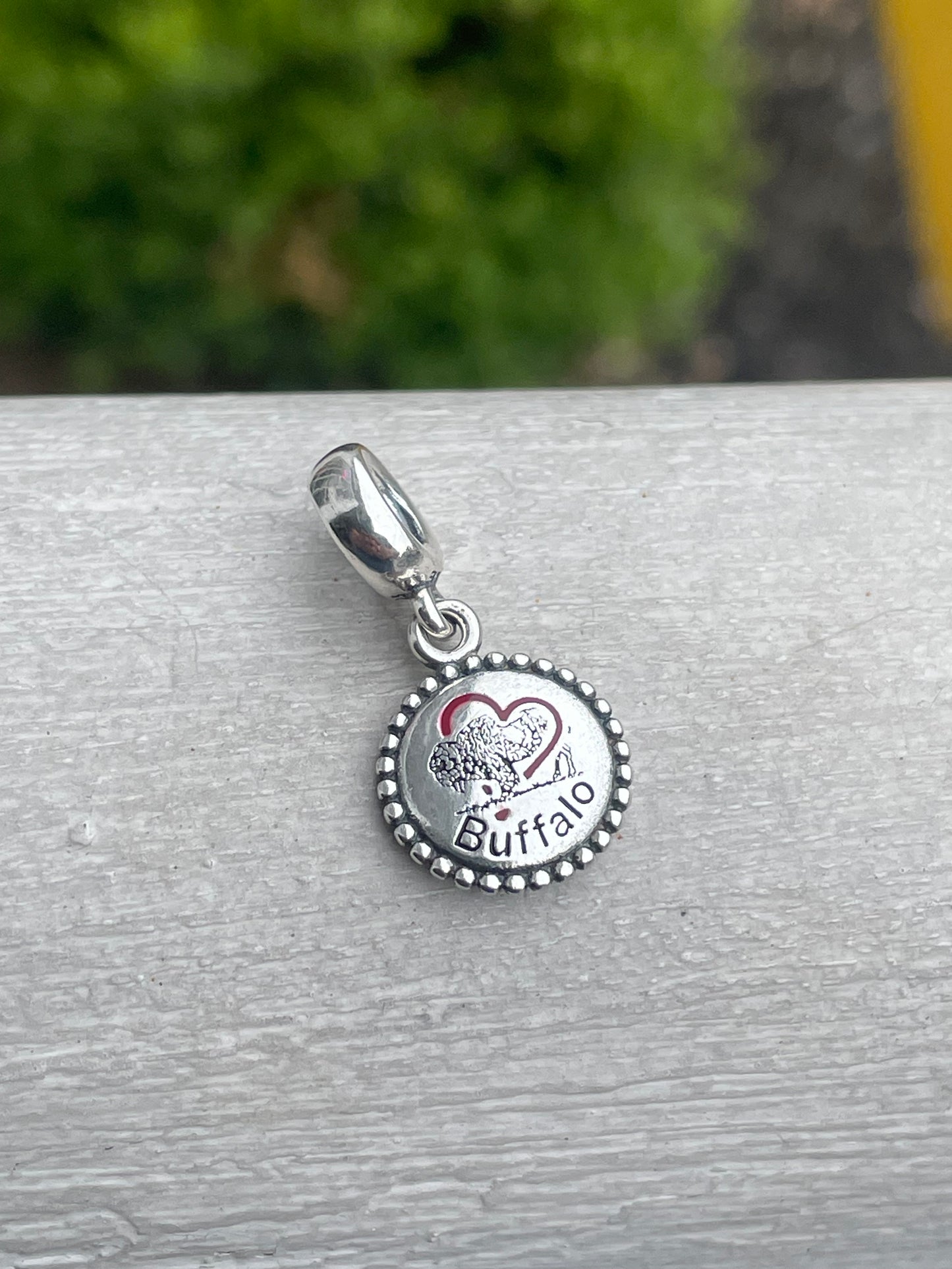 Pandora Buffalo NY Exclusive New York State Dangle Travel Charm