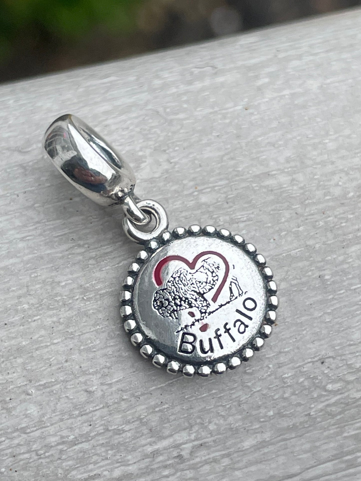 Pandora Buffalo NY Exclusive New York State Dangle Travel Charm
