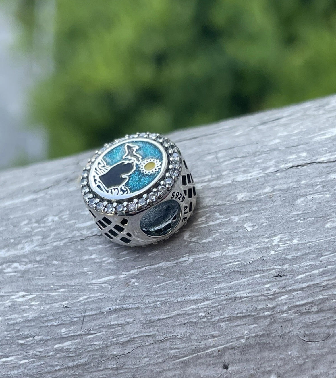 Pandora Michigan State Exclusive Travel Destination Signet Charm