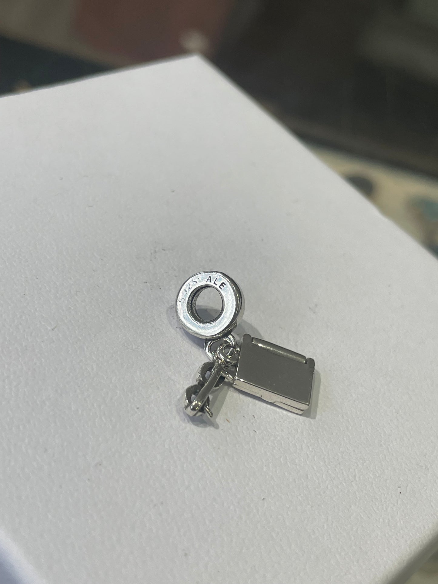 Pandora I love reading Charm