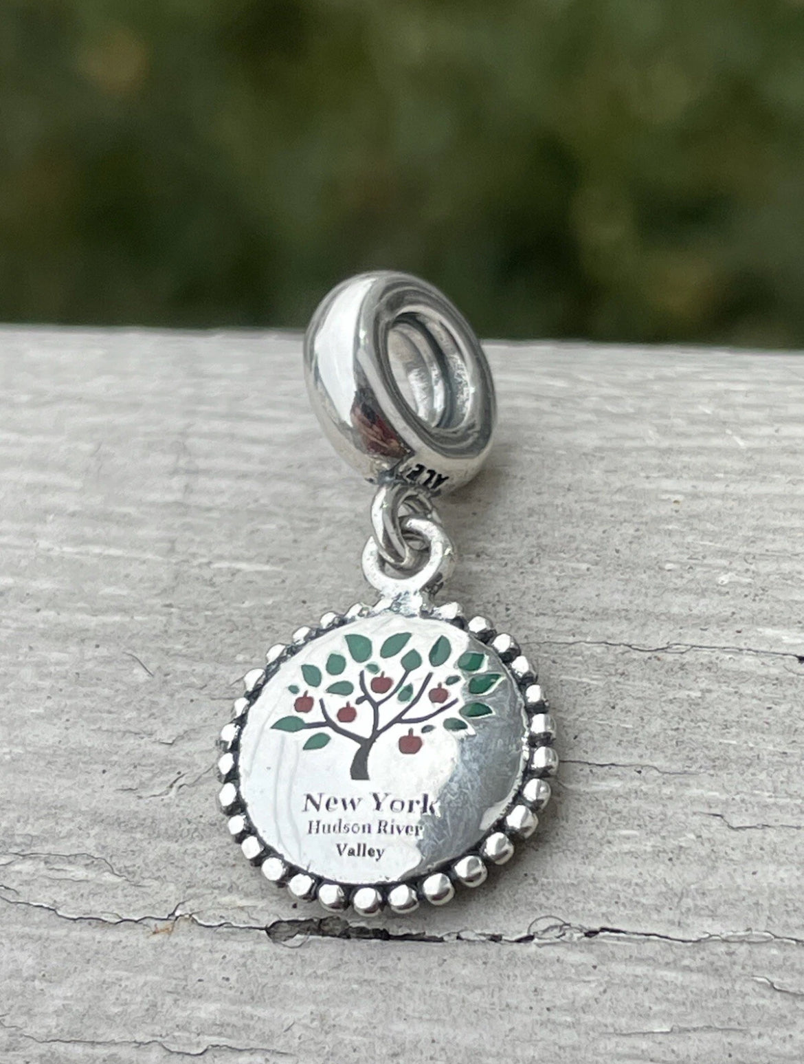 Pandora Hudson Valley New York Exclusive Upstate NY apple tree logo charm
