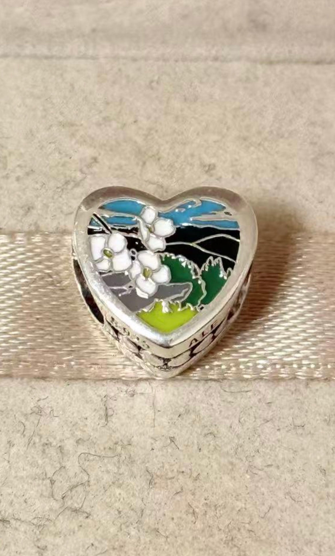 Pandora State of Virginia Online Exclusive Scenic Virginia Lovers Charm