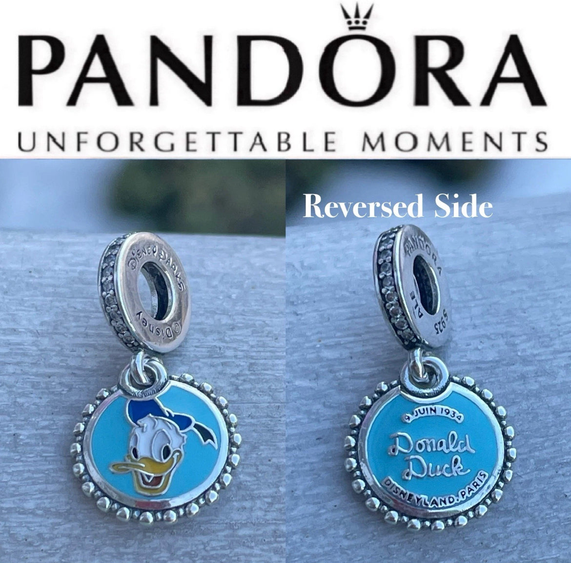 Pandora custom lot of 10 charms