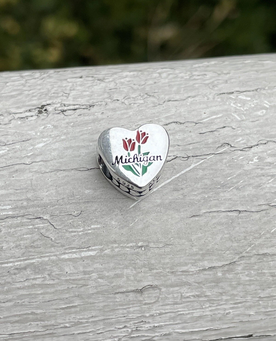 Pandora Holland Michigan State Exclusive Tulip Festival Vacation Travel Heart Charm