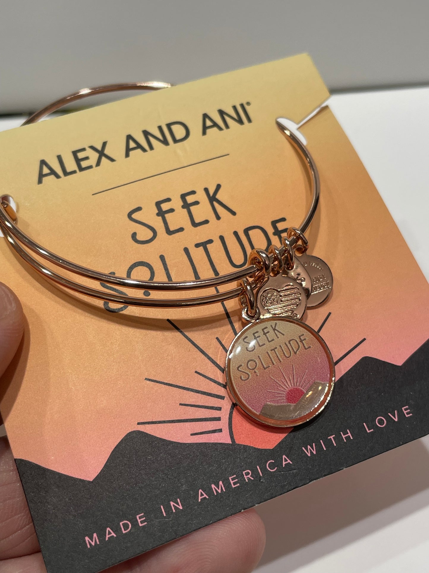 Alex and Ani Seek Solitude Bracelet