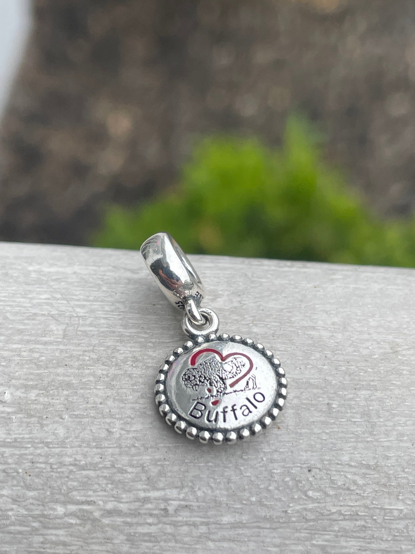 Pandora Buffalo NY Exclusive New York State Dangle Travel Charm
