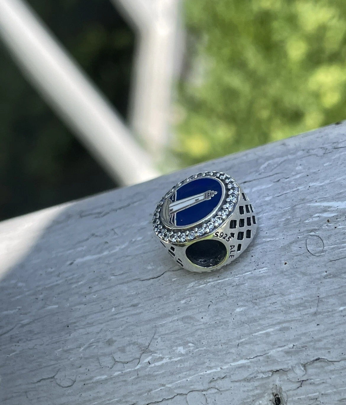 Pandora Mathews Virginia State Exclusive Round Signet Vacation Charm