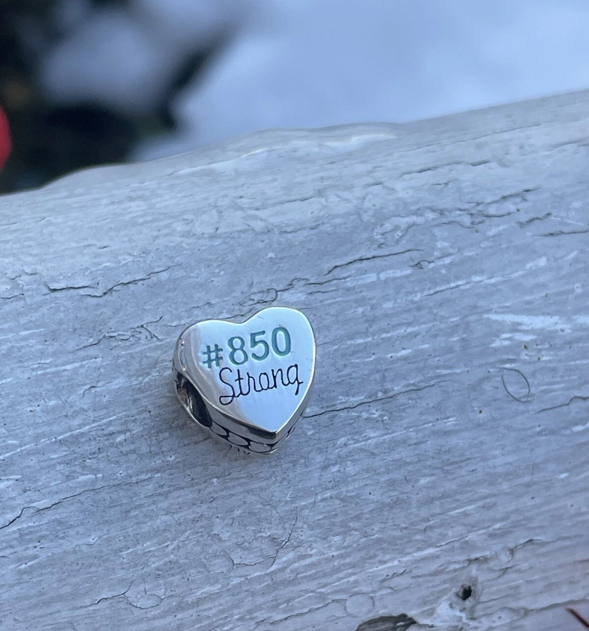 Pandora Panama City Florida State Exclusive Heart Travel 850 Strong Charm
