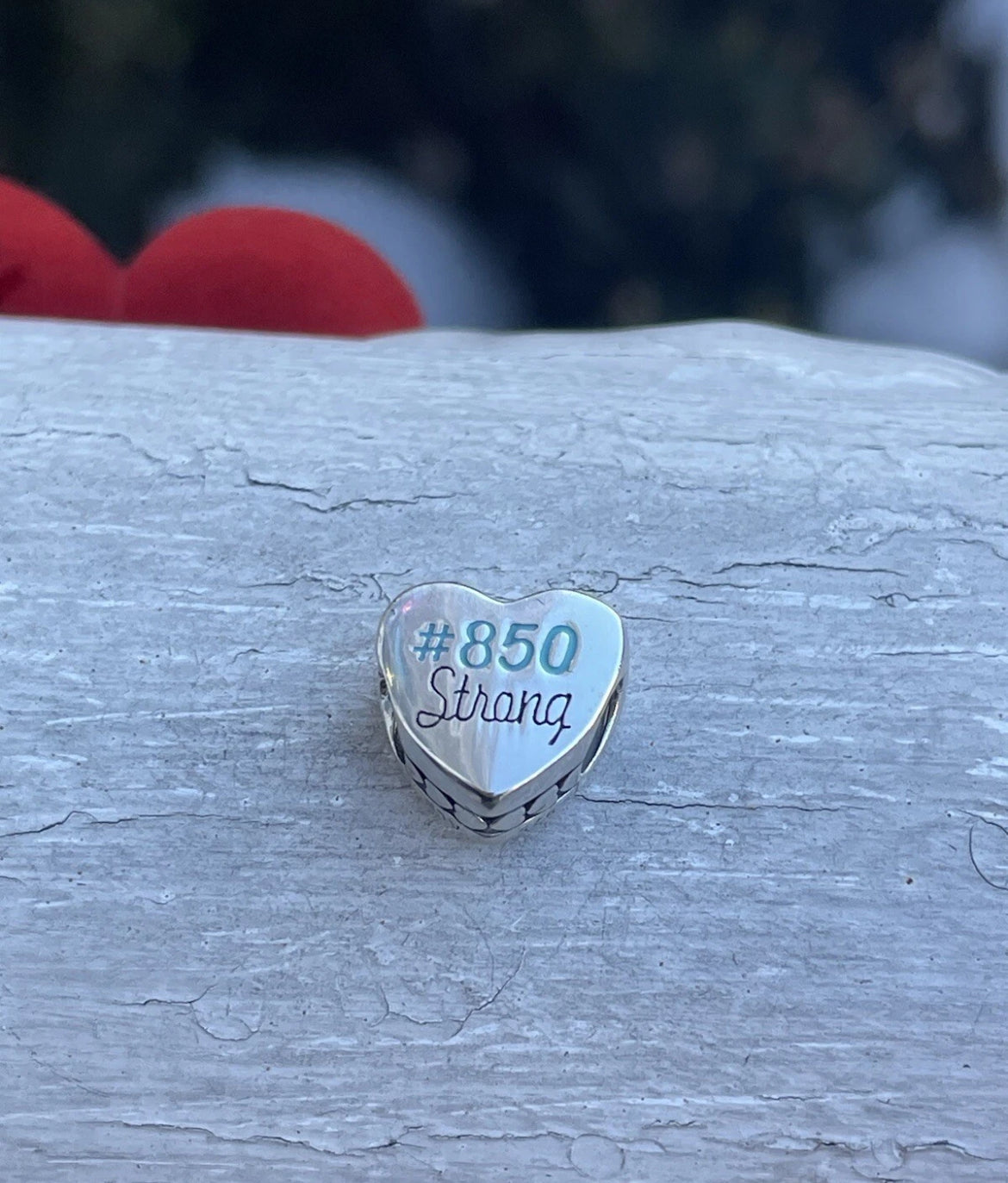 Pandora Panama City Florida State Exclusive Heart Travel 850 Strong Charm