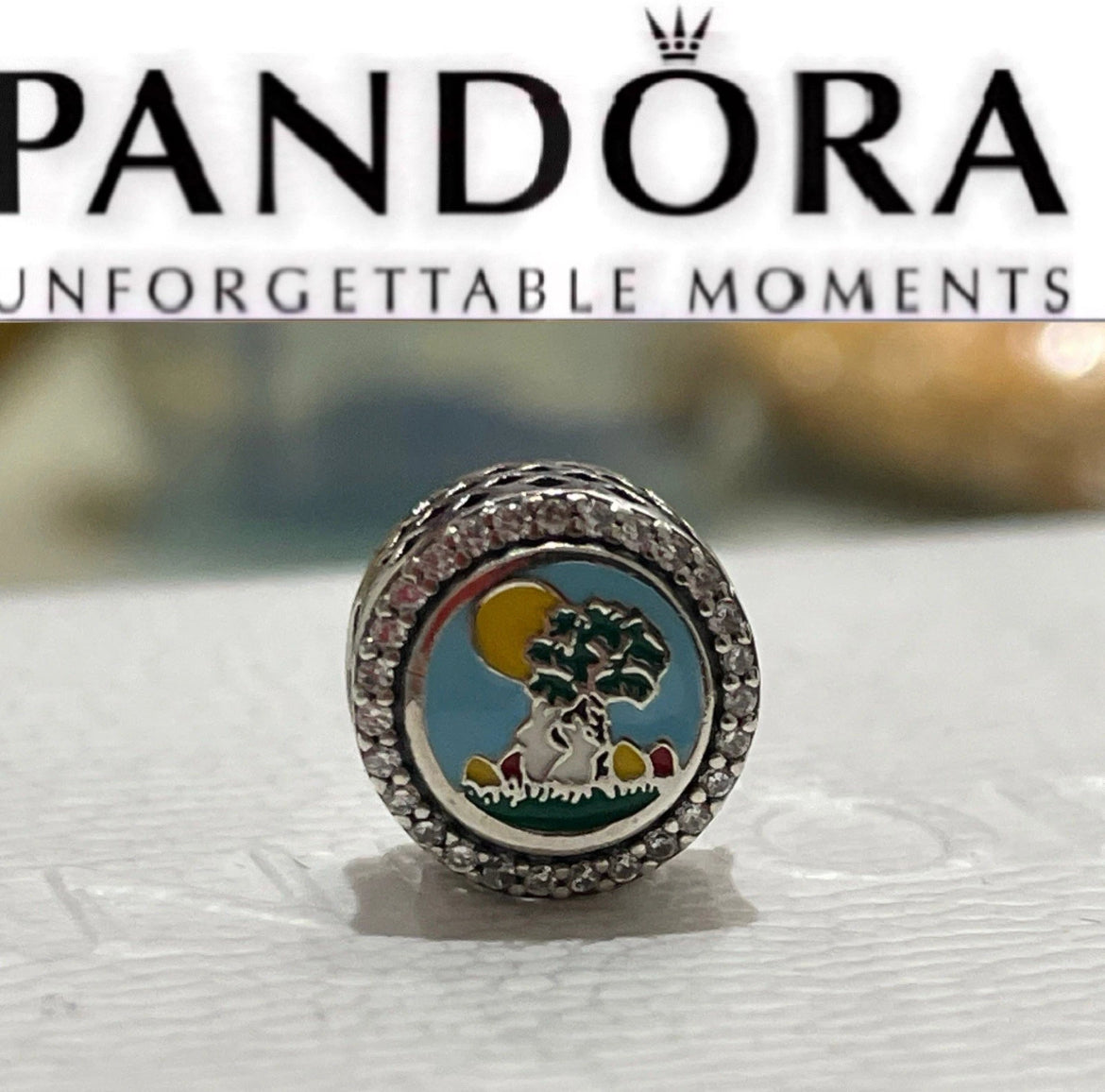 Pandora Charleston South Carolina State Exclusive Travel Destination Vacation Charm
