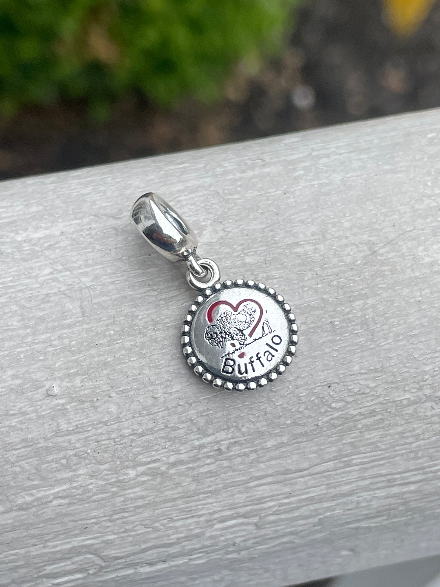 Pandora Buffalo NY Exclusive New York State Dangle Travel Charm