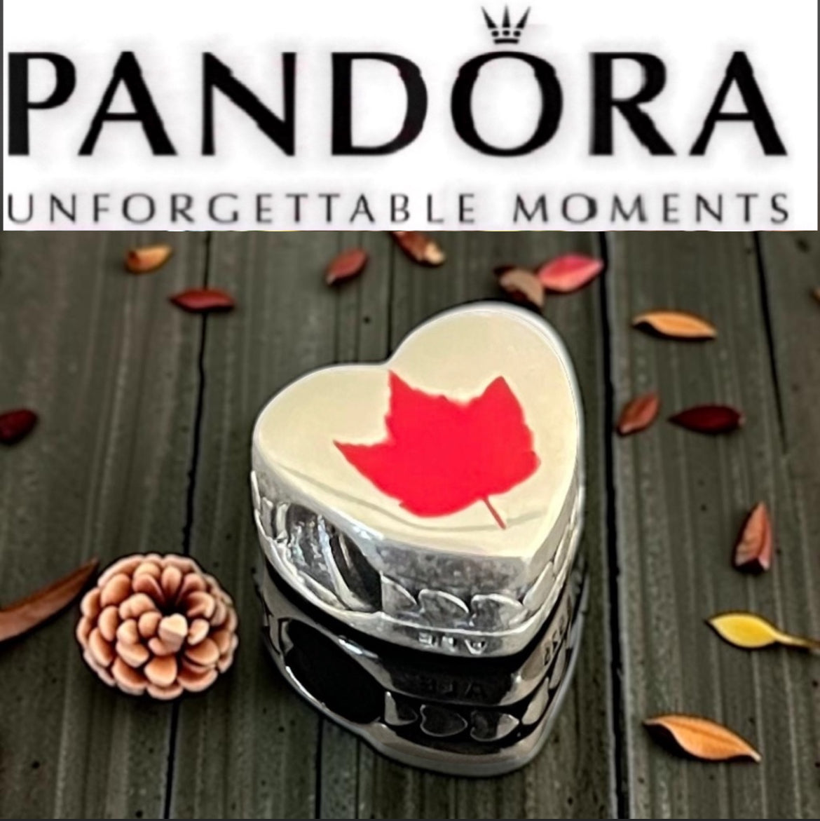 Pandora State of Vermont Exclusive Maple Leaf Logo Travel Heart Charm