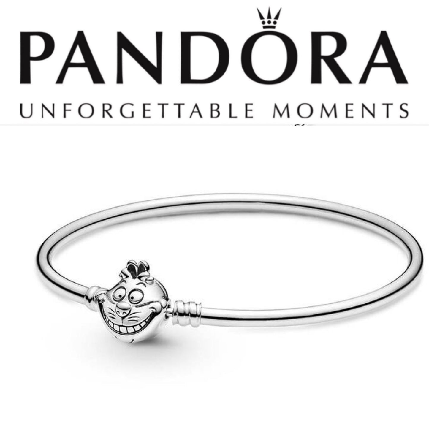 Pandora Disney Alice in Wonderland Cheshire Cat Clasp Moments Bangle 599343C00-18
