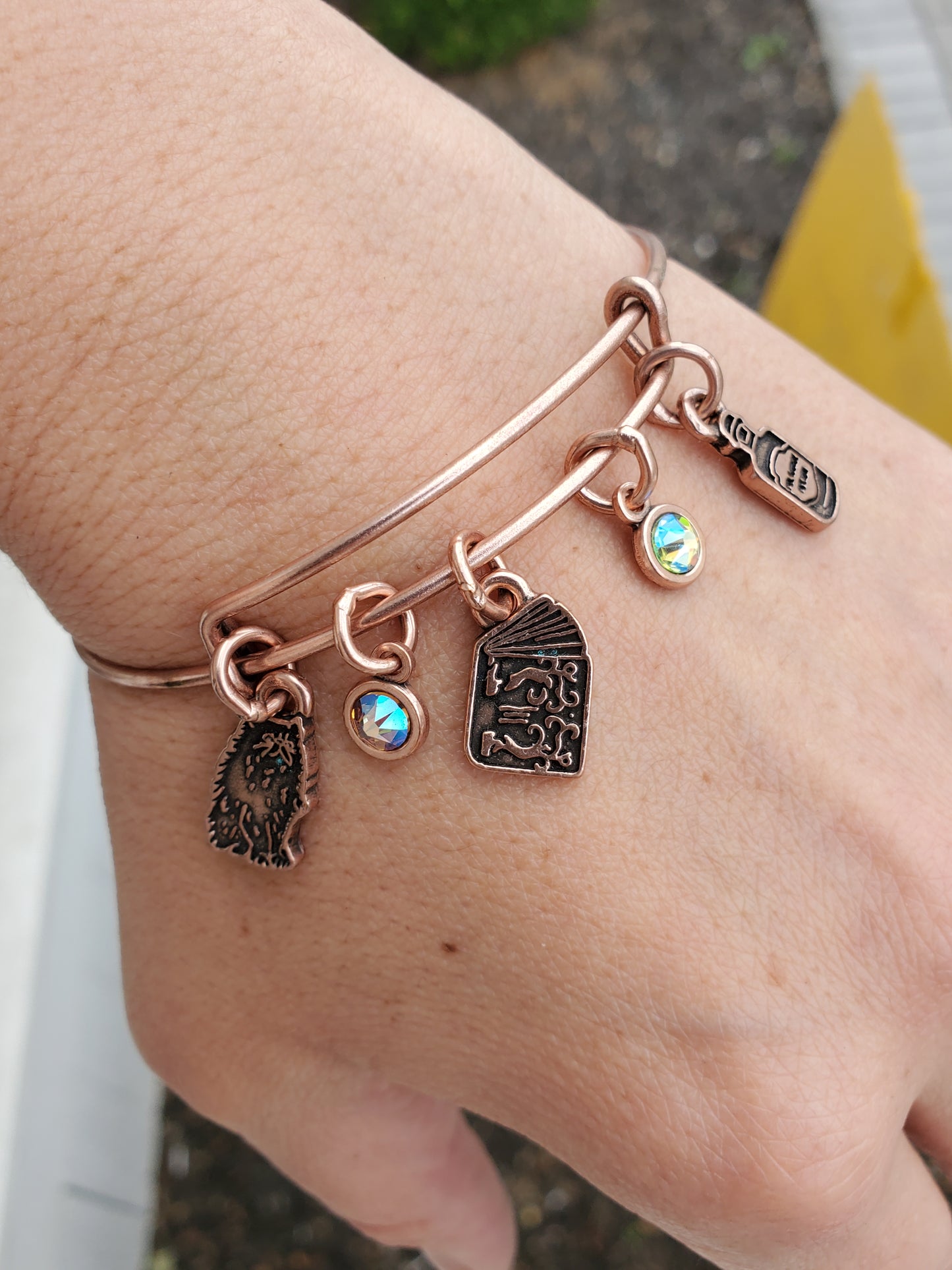 Alex and Ani Harry Potter Hermoine Character Rose Gold Bracelet NWT