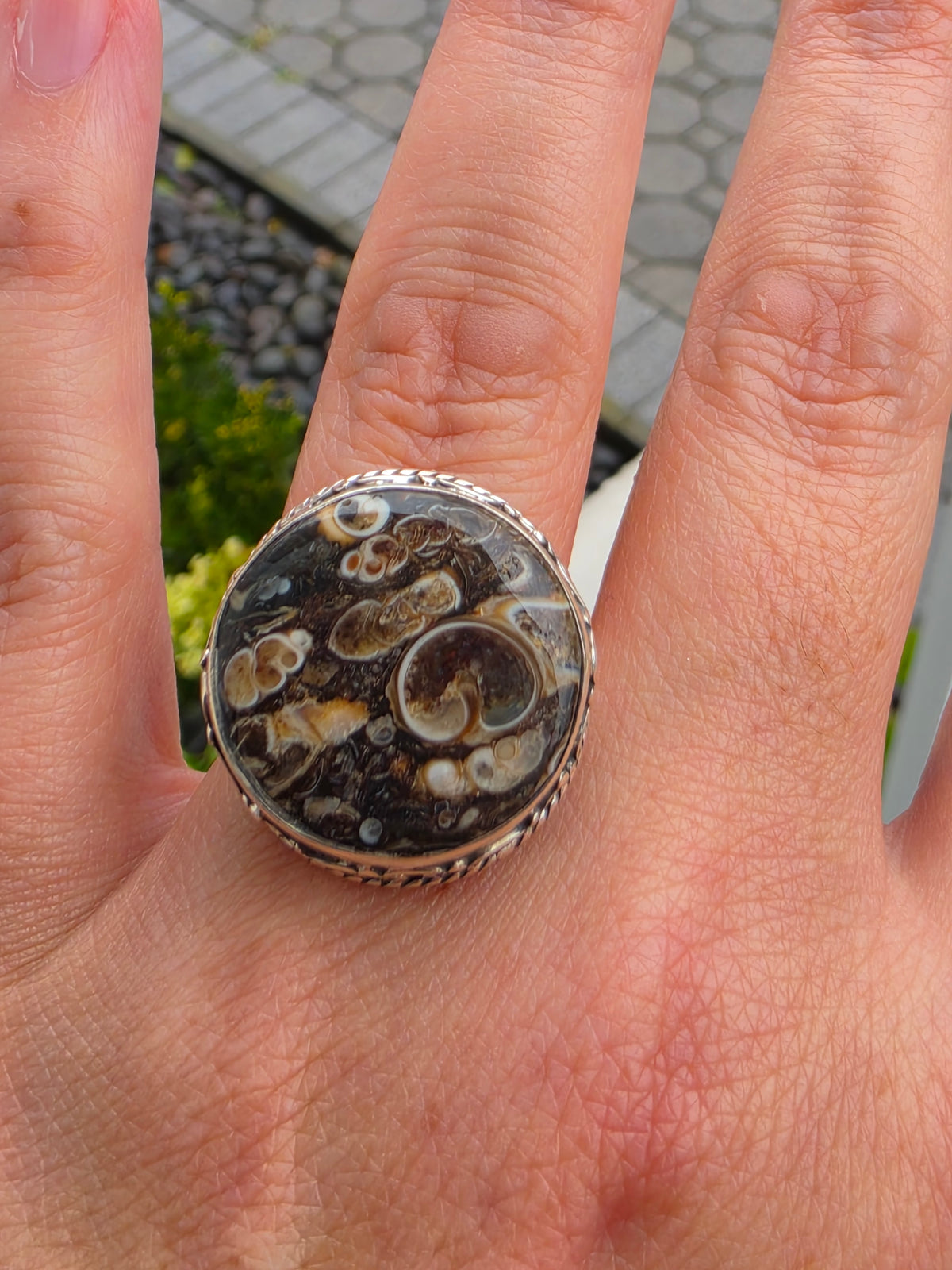 925 Sterling Silver Large Round Brown Picture Jasper Ring